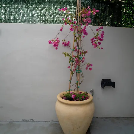 شقة Latitude 37 Luxe كالاماتا